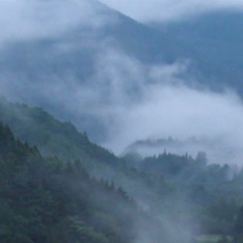 奈川の風景_山々の霧