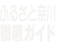 徹底ガイド02ロゴ