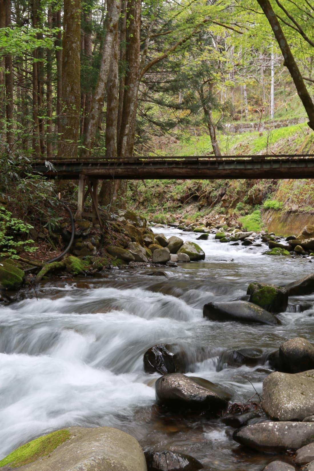 奈川の風景・清流奈川